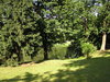 In the Park