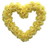 Flower heart