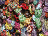 Bracelets and necklaces