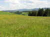 Mountain valley meadow