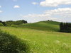 Mountain valley meadow