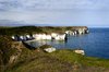 Flamborough Cliffs 3