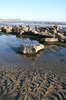 Rock pools 4