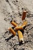Cigarette butts