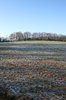 Frosty field