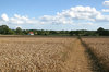Sussex fields