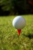Golf Ball