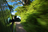 Road speed