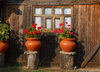 Wood cabin Window