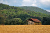 Old wooden shack