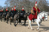 Horse guards