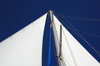 Sail