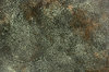 Bronzing Powder Texture
