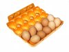 farm eggs 1