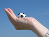 football fever 4