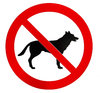 no dogs