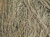 straw texture
