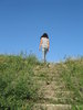 up the stairs 1