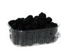 blackberries 2