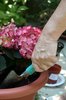 planting
