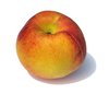 ripe peach 1