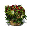 rose arrangement