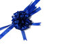 decorative bow 1