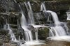 Scaleber Force