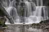 Scaleber Force