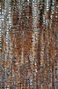 Weathered Wood 3