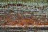 Weathered Wood 1