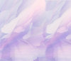 flors background