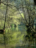 Spring of river Bosnia