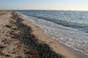 Strand line