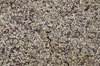 Sealife texture