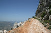 High trail