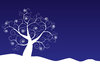 Snowy Tree