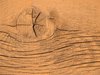 brown plank 1