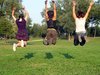 funny shadows