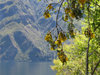 romantic lake