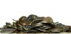 pile of coins