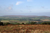 Gower countryside