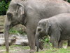at the zoo
