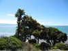 New Zealand