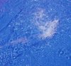 Splash