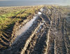 Pure british mud