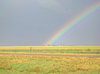 Under the rainbow