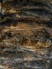 Textures