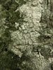 Textures