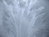 ice patterns 2